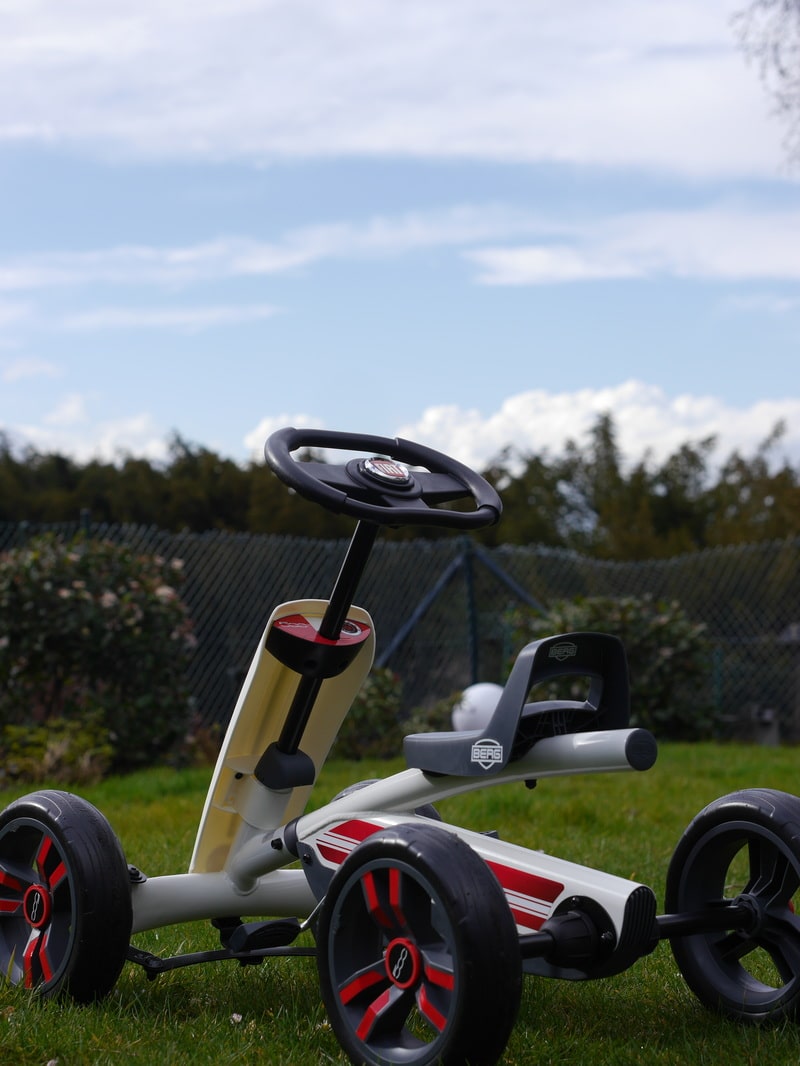 berg-buzzy-fiat